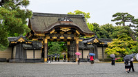 Nijojo Castle and Gardens