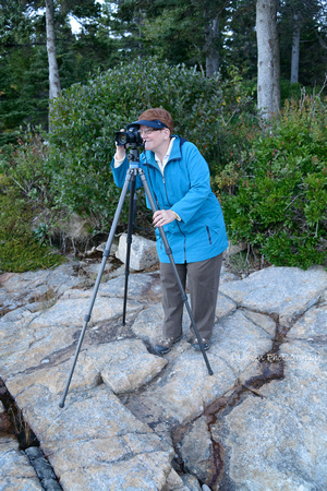 Sally shooting the sunset at Acadia Schoodic Peninsula