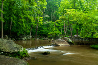French Creek/Hopewell June 2019