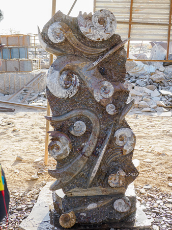 Fossils found near Rissani.