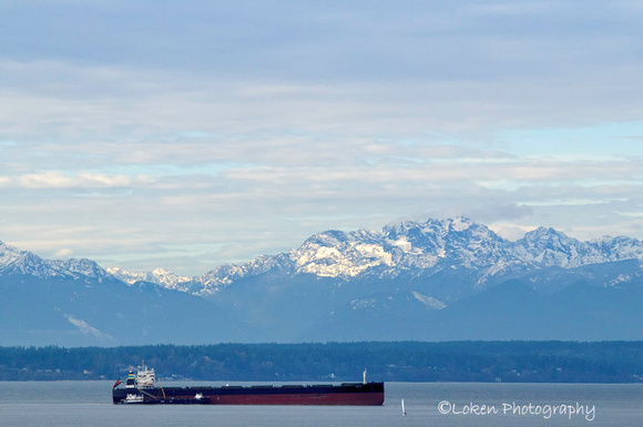 Elliot bay and the Olympic Mountains
