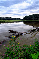 Octoraro Lake