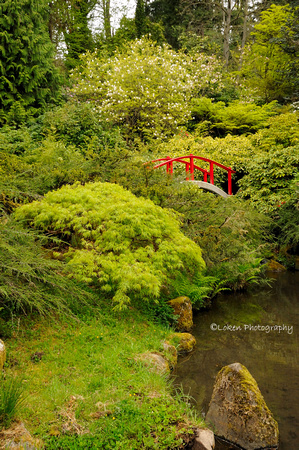 Kubota Gardens