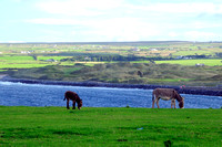Lahinch golf course from across the bay