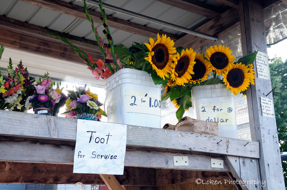 Amish Flower Stand - New Holland, PA