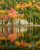 Acadia National Park, Maine - in Autumn
