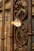 Shell - Symbol of St. James and Santiago