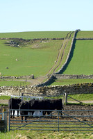 Skaill Manor, Orkney, Scotland