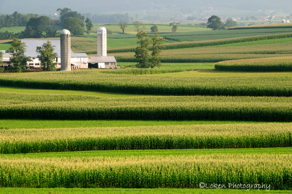 Amish Farm - Gap, PA