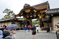 Nijojo Castle and Gardens