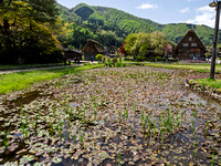 Shirakawago Grassho-zukuri Village