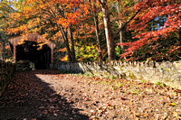 Laurels Preserve and Surrounding Area