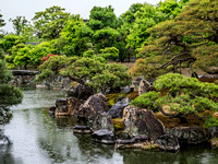 Nijojo Castle and Gardens