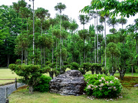 Nijojo Castle and Gardens